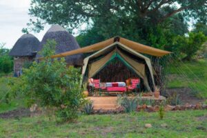 4 Days Ziwa and Kidepo Valley Safari