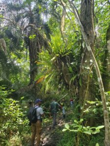 Best Time Visit Kibale National Park