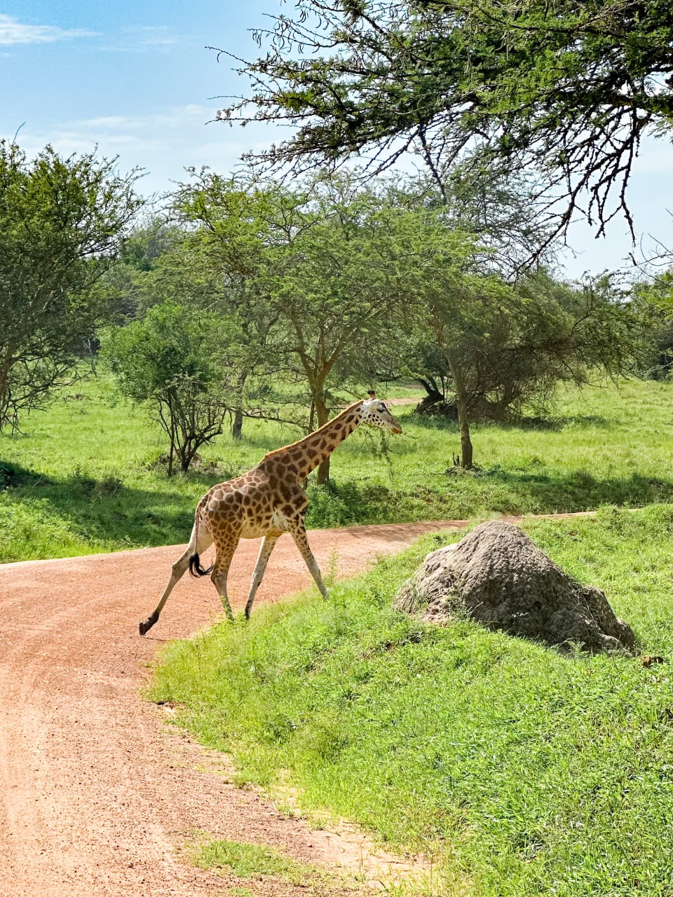 4 Days Lake Mburo and Kibale Safari