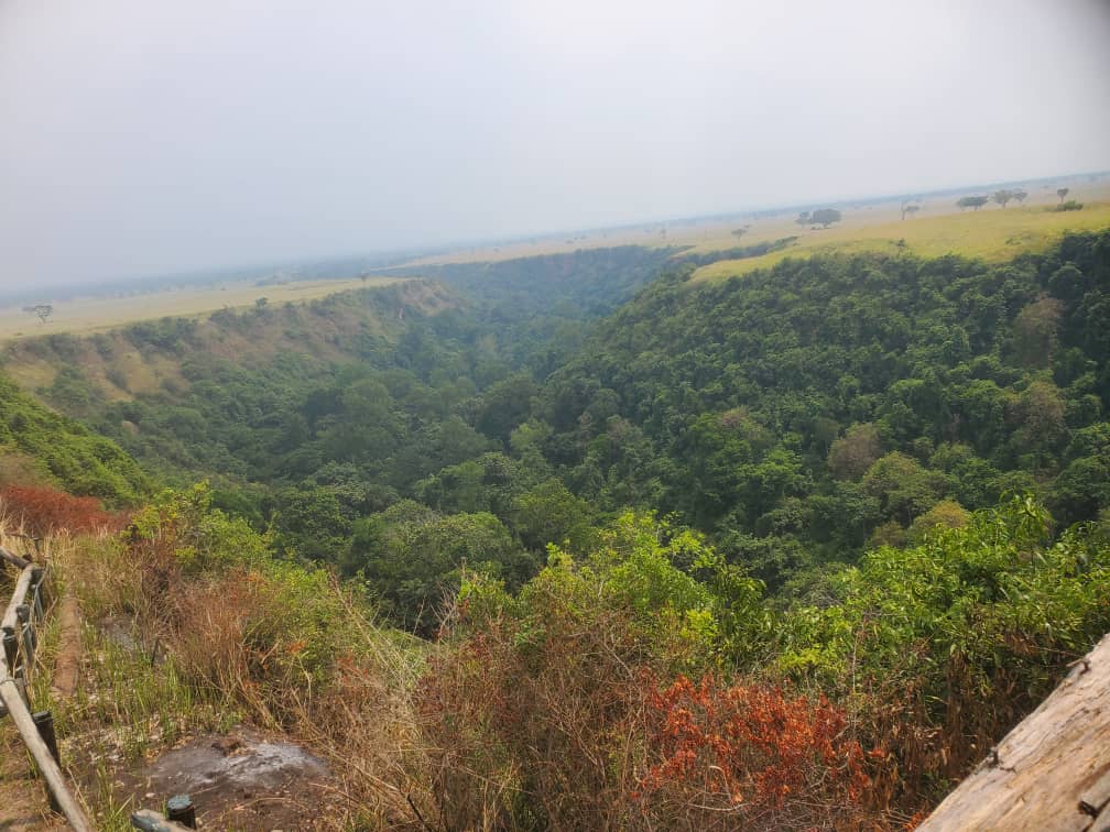 3 Days Kyambura Chimps Safari