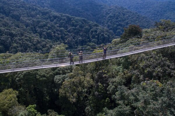 Nyungwe National Park