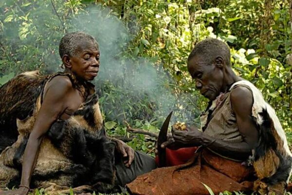 10-Day Uganda Wildlife, Gorillas, and Culture Safari
