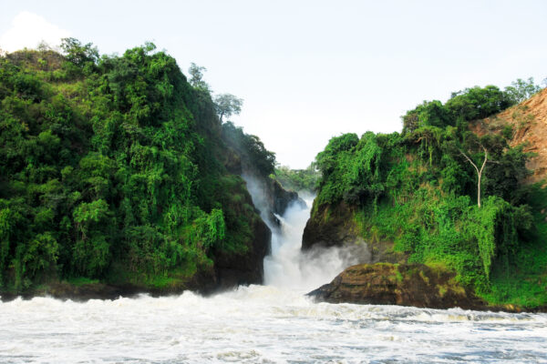 11-Day Grand Uganda Explorer Safari
