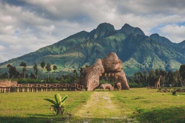 14-Day Rwanda Grand Safari and Primate Tour