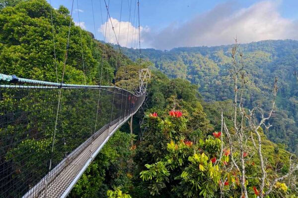 7-Day Rwanda Primate and Nature Adventure
