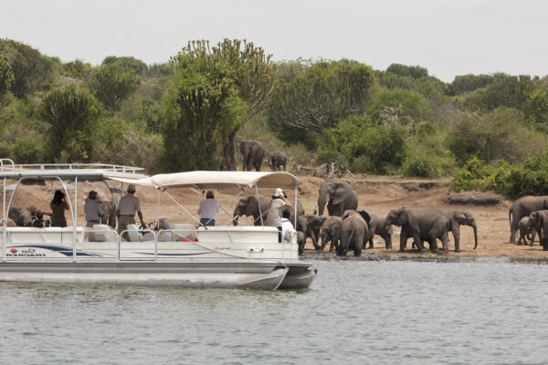 Boat Safaris