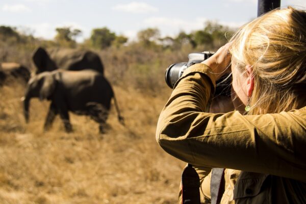 Photography Safaris