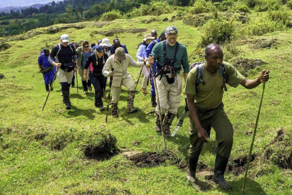 Volcano and Mountain Hikes