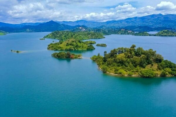 Golden Monkeys and Lake Kivu