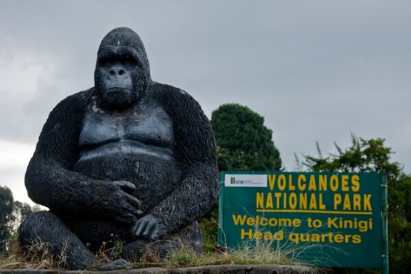 Volcanoes and Akagera