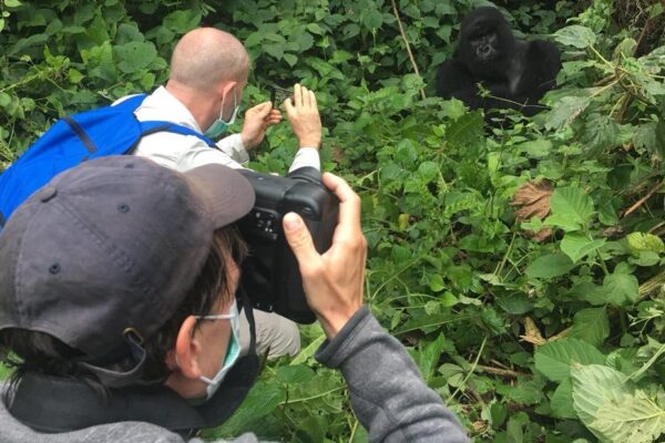 3-Day Mgahinga Volcano Hiking & Gorilla Safari