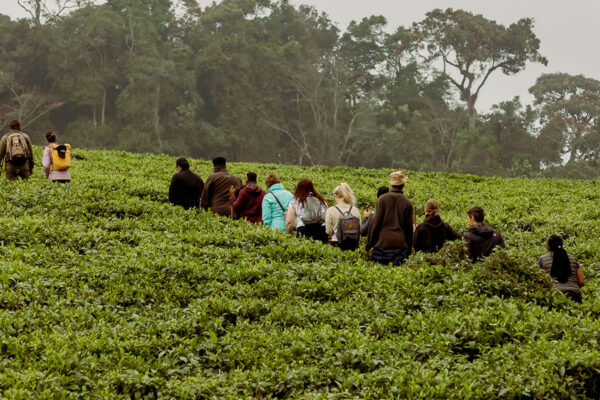 5-Day Akagera Community & Cultural Safari