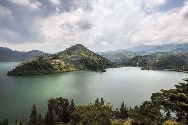 2-Day Rwanda Gorilla Trekking