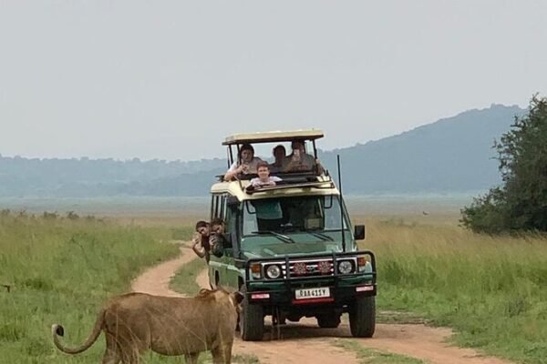 Classic Rwanda Safari Tour