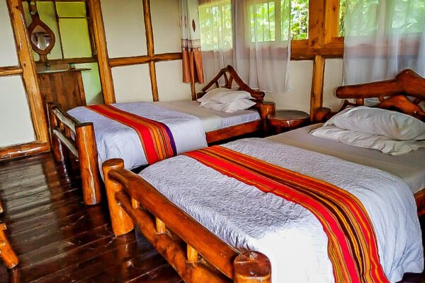 Gorilla Mist Camp