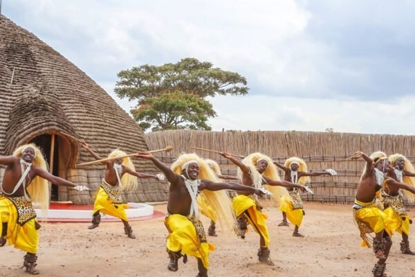 Gorilla Trekking and Cultural