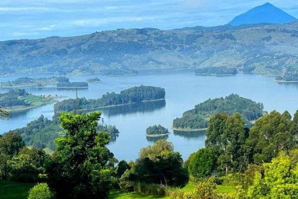 Gorilla Trekking and Lake Bunyonyi
