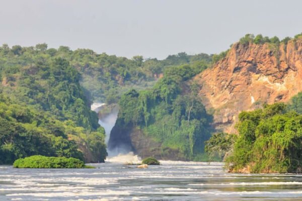 Murchison Falls Safari