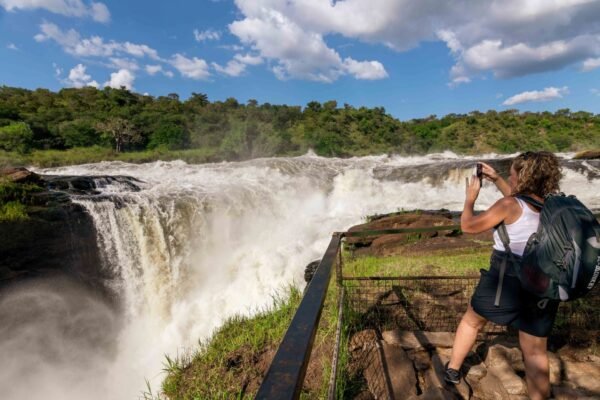 Photographic Wildlife Safari