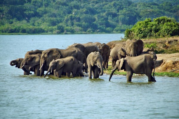 Primate Expedition Itinerary