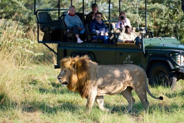 Rwanda Luxury Safari Package
