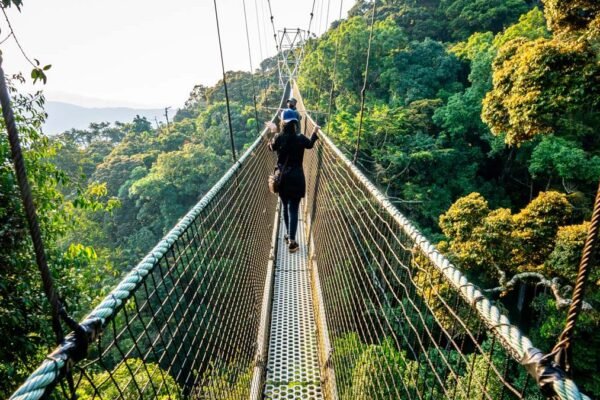 Rwanda Luxury Safari Package