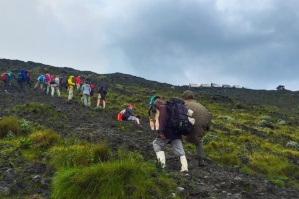 Rwanda Safari and Nyiragongo