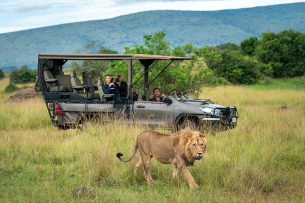 Ultimate Rwanda Safari