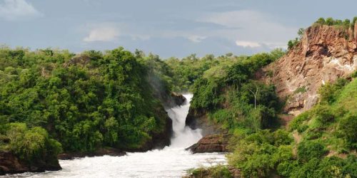 2 day uganda wildlife safari