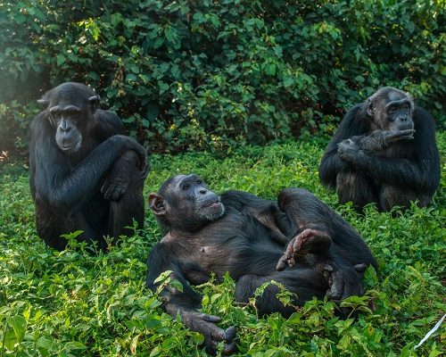 Kazahukire-Sandy-and-Nagoti-AW-TW